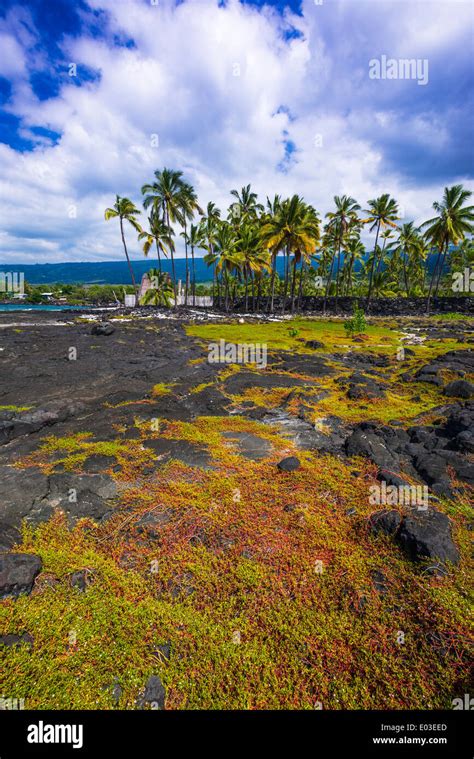 kona city of refuge